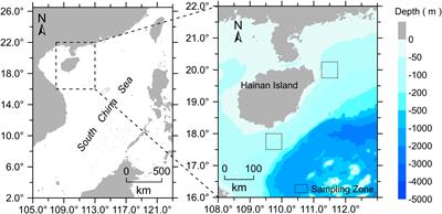 DNA barcoding of marine fish species in the waters surrounding Hainan Island, northern South China Sea